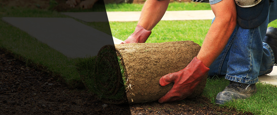 Grafton Landscapers